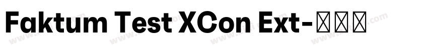 Faktum Test XCon Ext字体转换